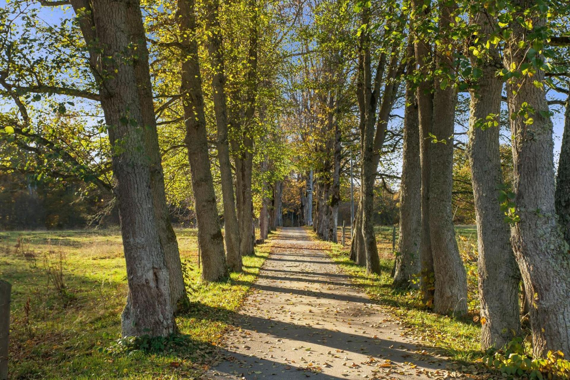 Grimsnas Herrgard Ljuder (Kronoberg) Dış mekan fotoğraf