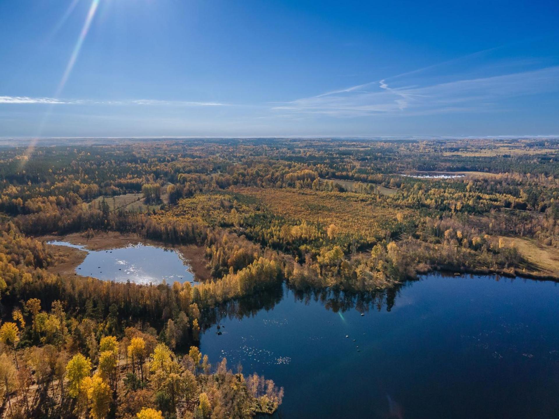 Grimsnas Herrgard Ljuder (Kronoberg) Dış mekan fotoğraf